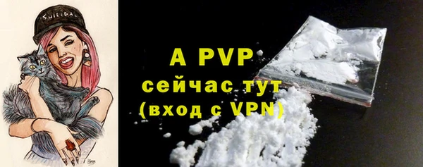 apvp Богданович